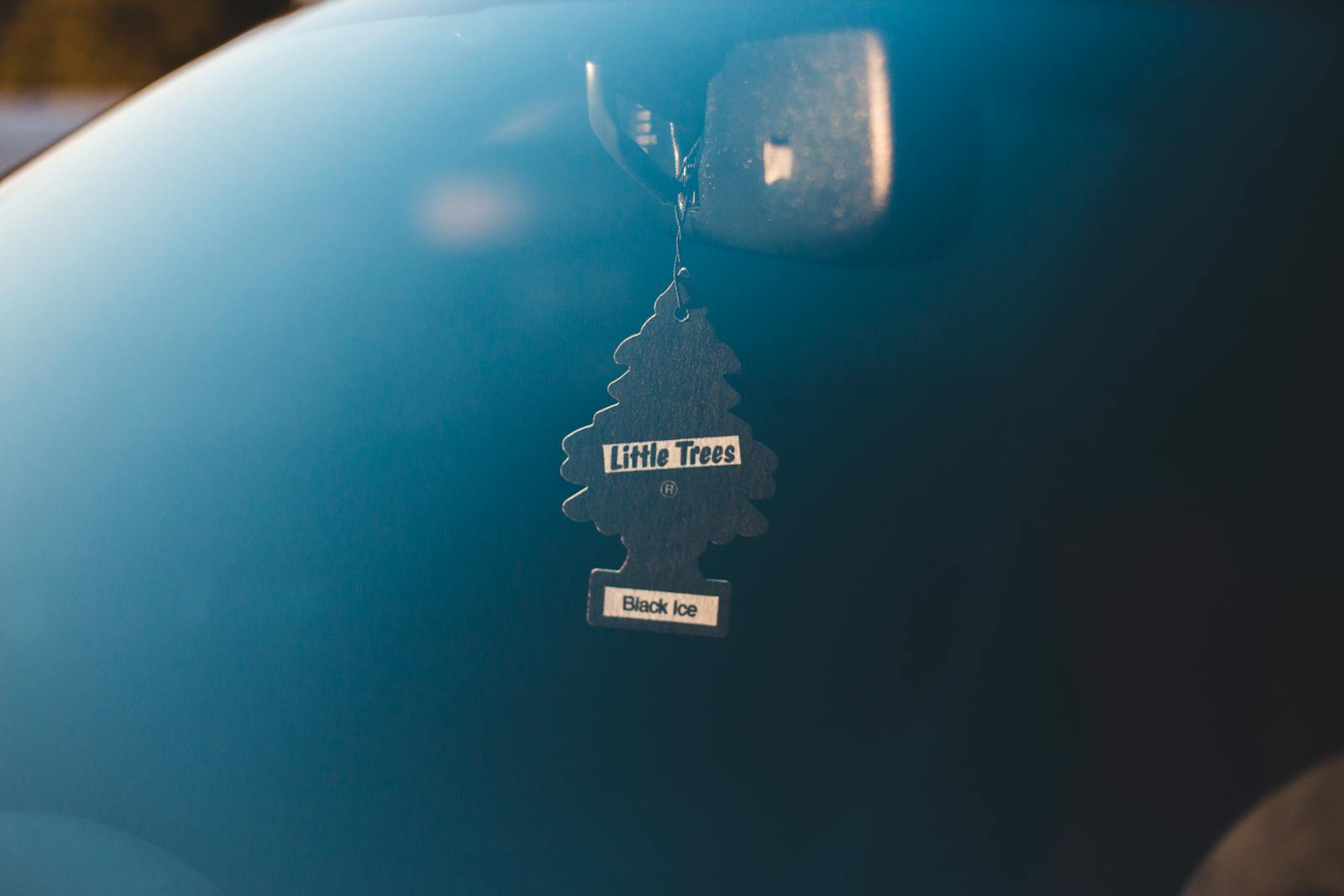 Close-up of Little Trees air freshener in a car with a serene background.